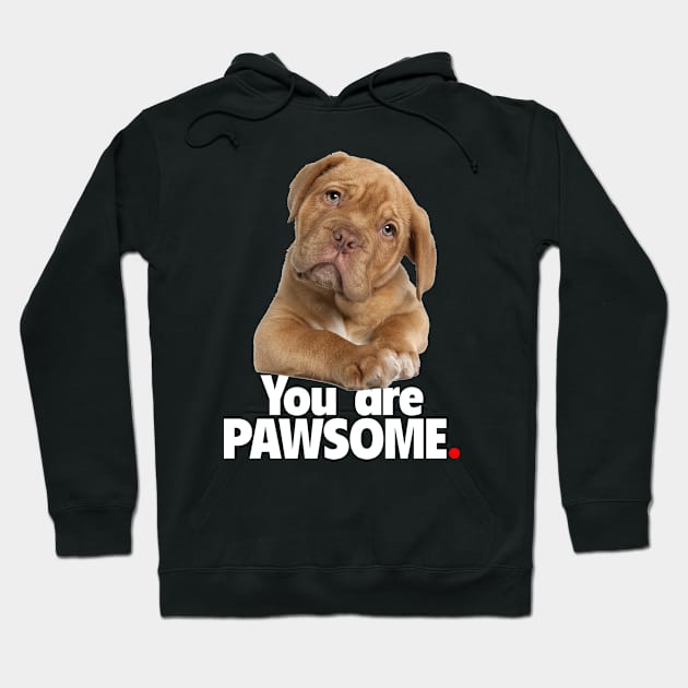 You are PAWSOME - Dark Hoodie by Peter the T-Shirt Dude